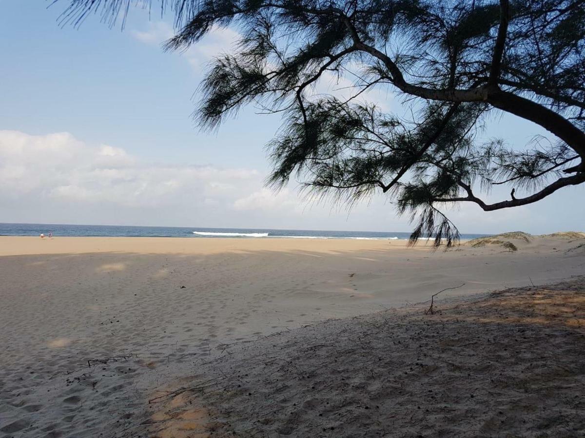 4 The Bridge Apartment St Lucia Bagian luar foto